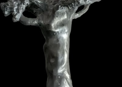 Andrea Derani | Integração [2020] - 1