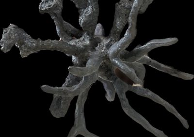 Andrea Derani | Integração [2020]