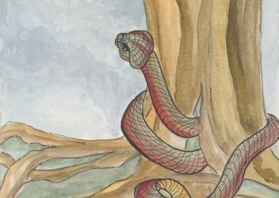 1. A Monada. O Indivisível | Andrea Derani