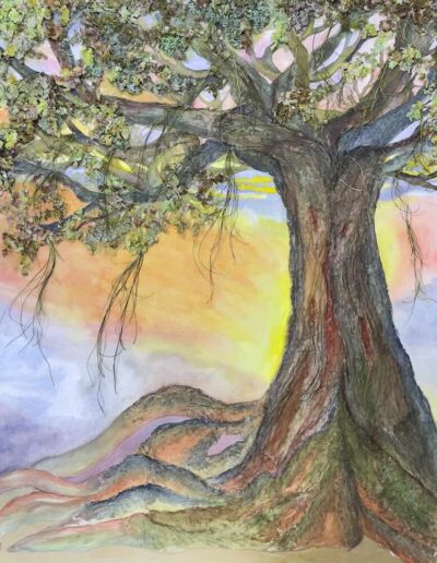 Andrea Derani | 2023, Natividade