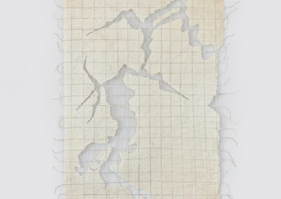 30º.20’ 13’’N 81º.39’ 41’’O – Os rios que me trouxeram até aqui Series