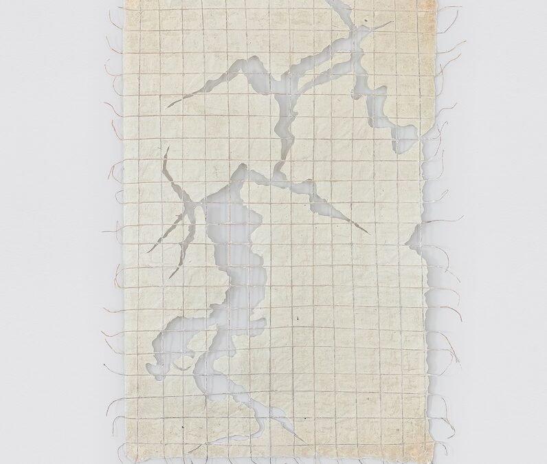 30º.20’ 13’’N 81º.39’ 41’’O – Os rios que me trouxeram até aqui Series