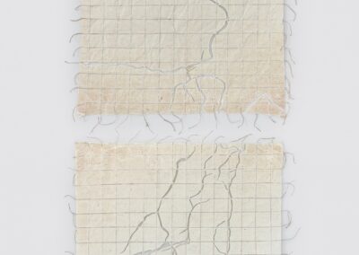 22º. 24’ 46’’S 49º. 08’ 05’O / 40º. 42’ 46’’N 74º. 0’21’’W – Os rios que me trouxeram até aqui Series