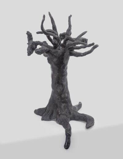 Andrea Derani - Escultura