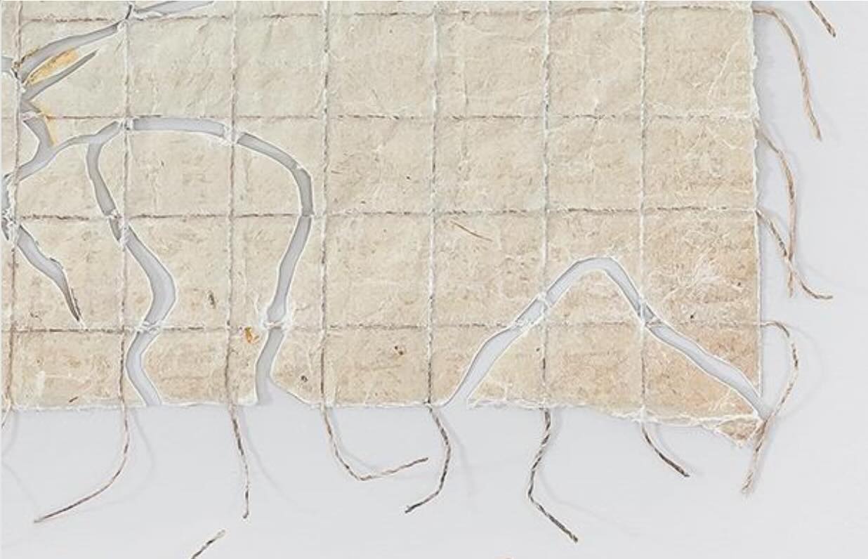 Andrea Derani | Artes Visuais